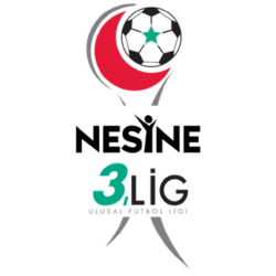3. Lig 4.Grup Logo